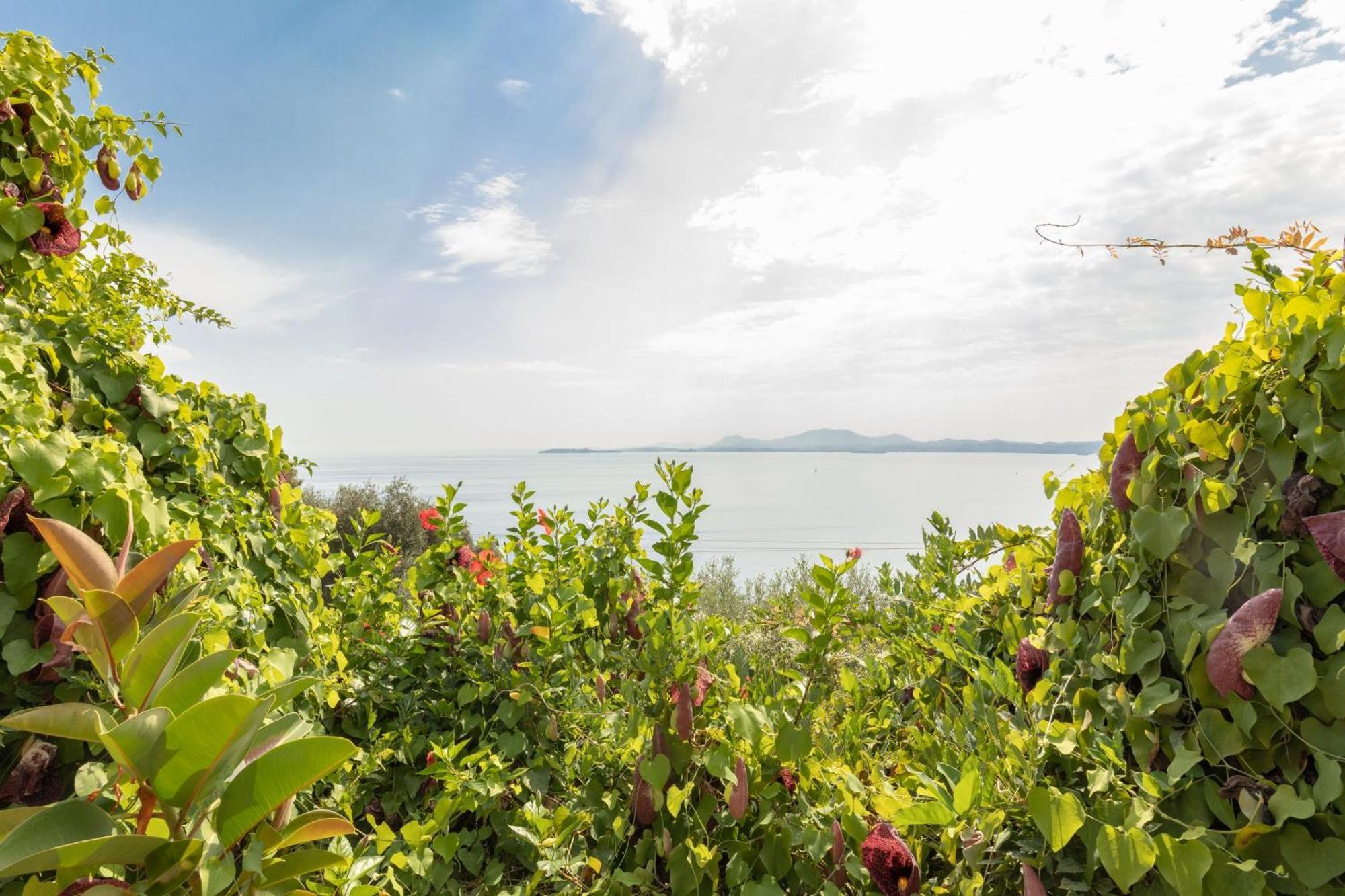 Case de vacanță Nafsika Nisaki (Corfu)
